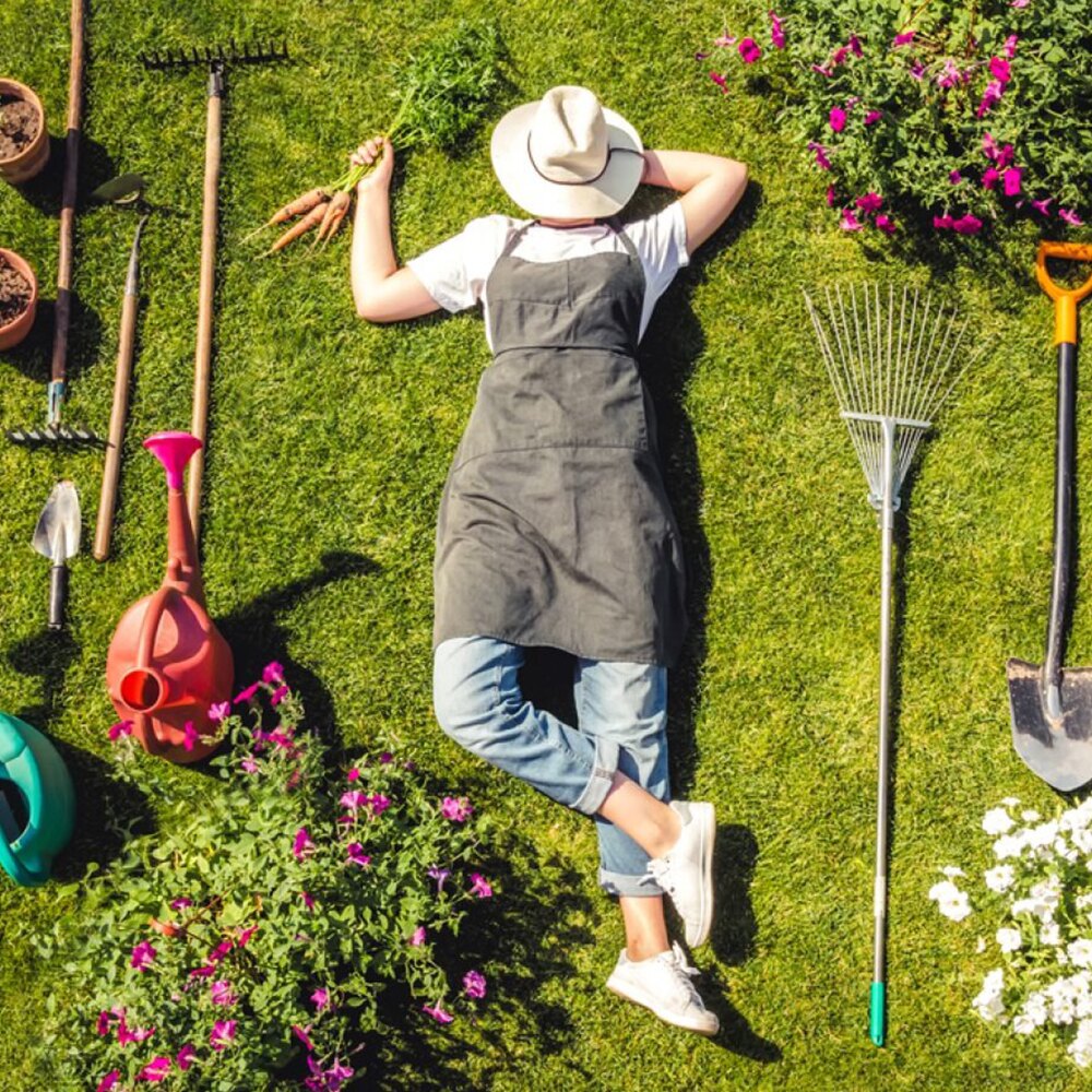 Sfaturi de Grădinărit pentru o Grădină Floriferă și Sănătoasă