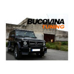 Ornament Capotă compatibil cu Mercedes G Class W463 B Design — imaginea 6