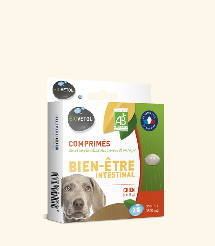 Bien-être intestinal Biovetol, comprimate pentru câini de talie mare Cutia Bien-être intestinal Biovetol, comprimate bio pentru câini peste 15 kg, cu un câine Weimaraner