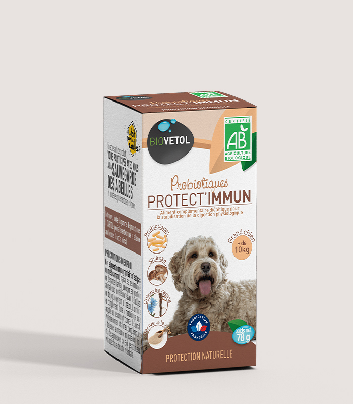 Probiotic bio Protect Immun Biovetol pentru câini de talie mare Cutia probioticului bio Protect Immun Biovetol pentru câini peste 10 kg, cu un câine cu blană creață