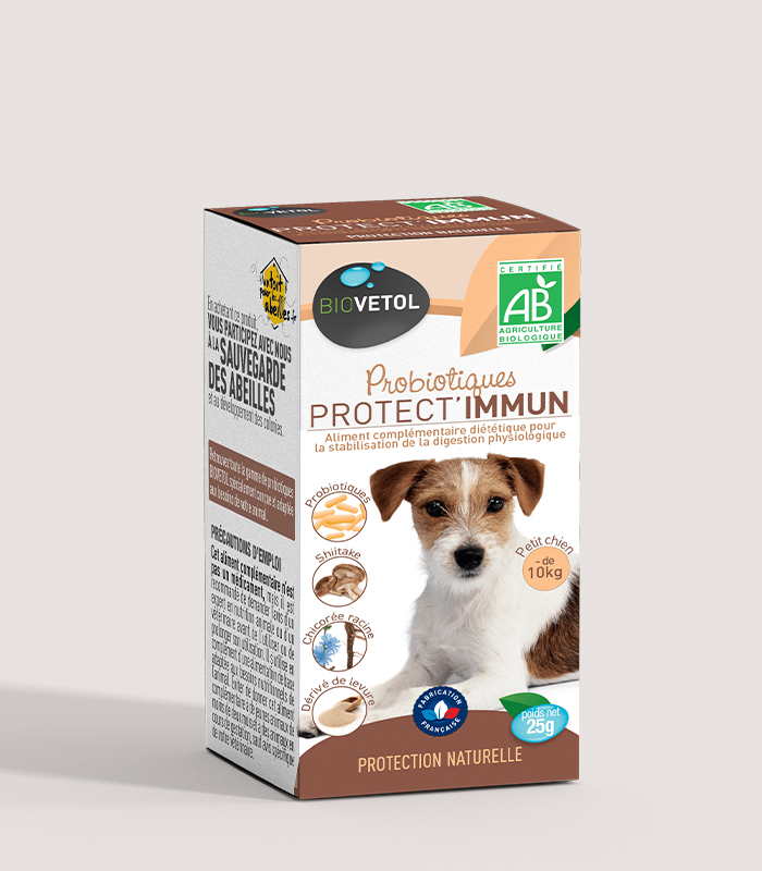 Probiotic bio Protect Immun Biovetol pentru câini de talie mică Cutia probioticului bio Protect Immun Biovetol pentru câini sub 10 kg, cu un cățel Jack Russell