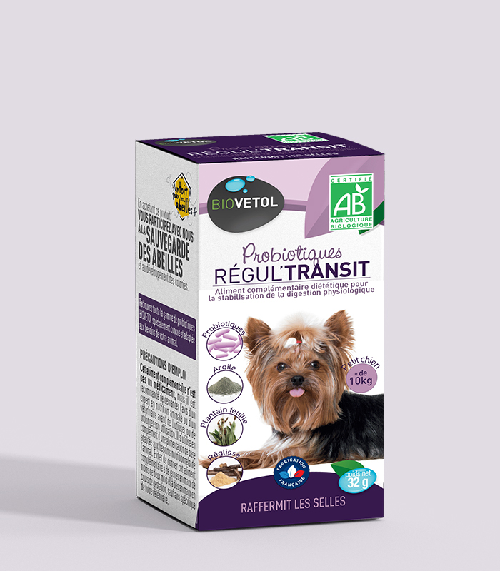 Probiotic bio Regul tranzit Biovetol pentru câini de talie mică Cutia mov a probioticului bio Régul'Transit Biovetol pentru câini sub 10 kg, cu un Yorkshire terrier