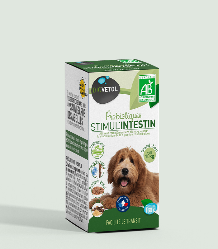 Probiotic bio Stimul intestin Biovetol pentru câini de talie mare Cutia verde a probioticului bio Stimul Intestin Biovetol pentru câini peste 10 kg, cu un câine cu blană creață