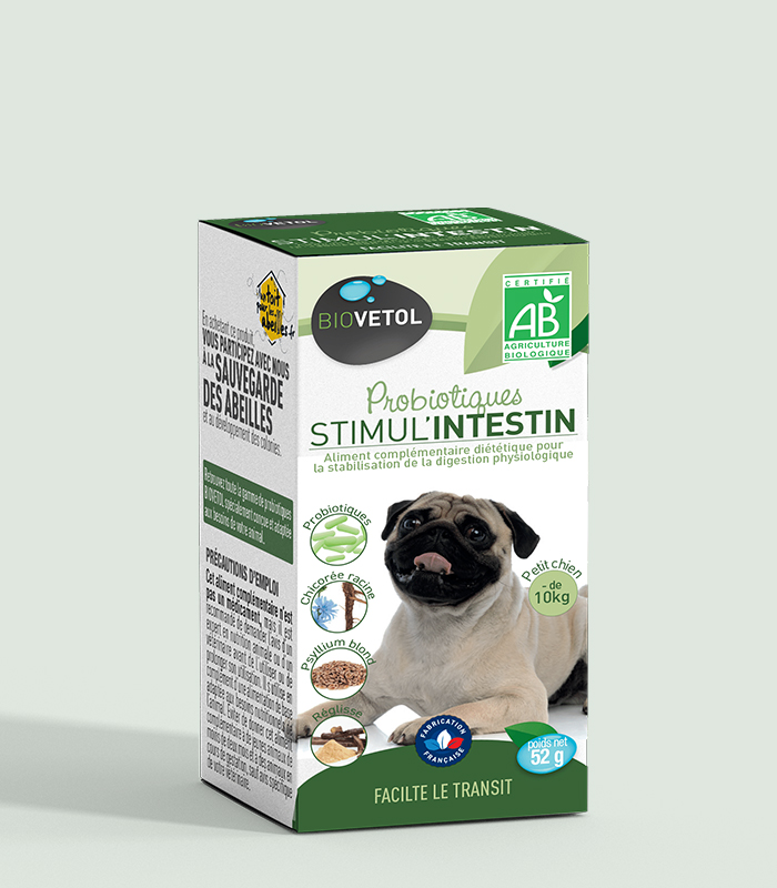 Probiotic bio Stimul intestin Biovetol pentru câini de talie mică Cutia verde a probioticului bio Stimul Intestin Biovetol pentru câini sub 10 kg, cu un mops