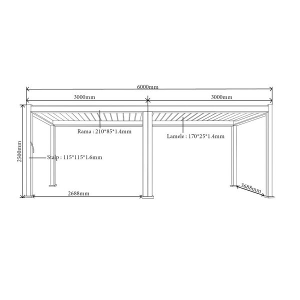 Desen tehnic al configurației de 4 x 6 m, cu două module de 3000 mm și stâlpii din mijloc