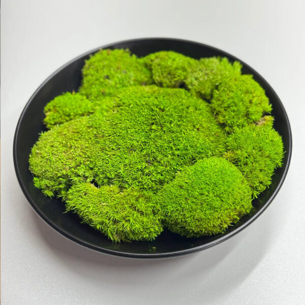 Bol ceramic negru mat de 18 cm umplut cu mușchi stabilizat verde, vedere de sus pe o masă albă