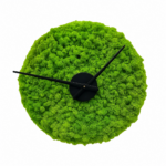 Ceas de perete rotund acoperit cu licheni verde aprins, cu limbi negre și disc central negru