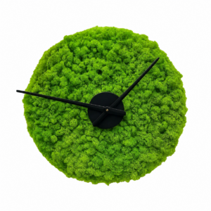 Ceas de perete rotund acoperit cu licheni verde aprins, cu limbi negre și disc central negru