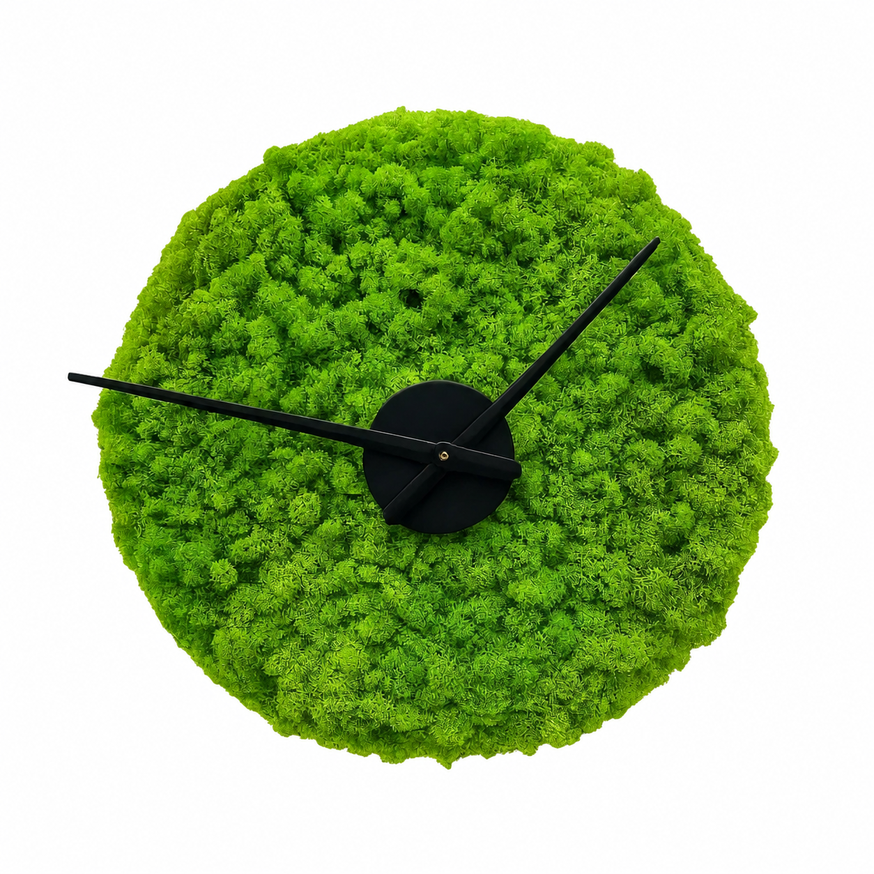 Ceas de perete cu licheni verde aprins Ceas de perete rotund acoperit cu licheni verde aprins, cu limbi negre și disc central negru