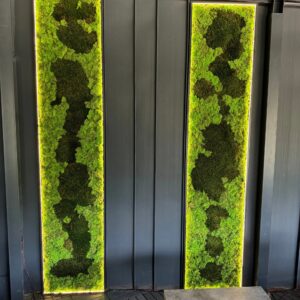 Două panouri verticale din licheni verde-lime cu insule de mușchi închis și contur LED, pe perete gri închis