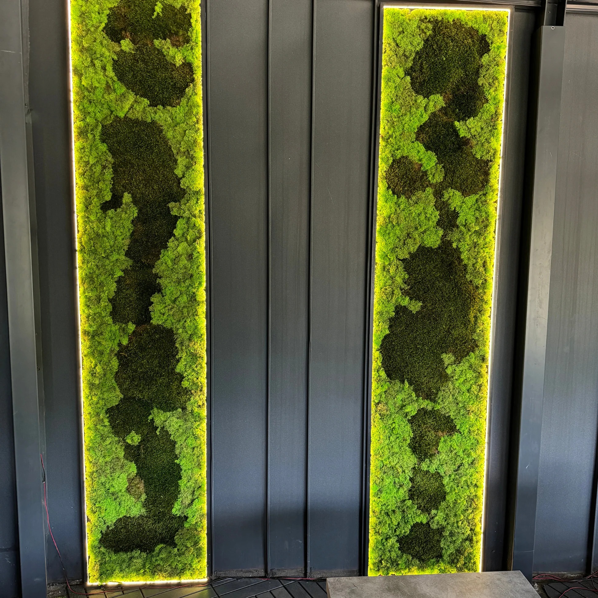 Coloane Verzi, panouri verticale din licheni cu LED Două panouri verticale din licheni verde-lime cu insule de mușchi închis și contur LED, pe perete gri închis