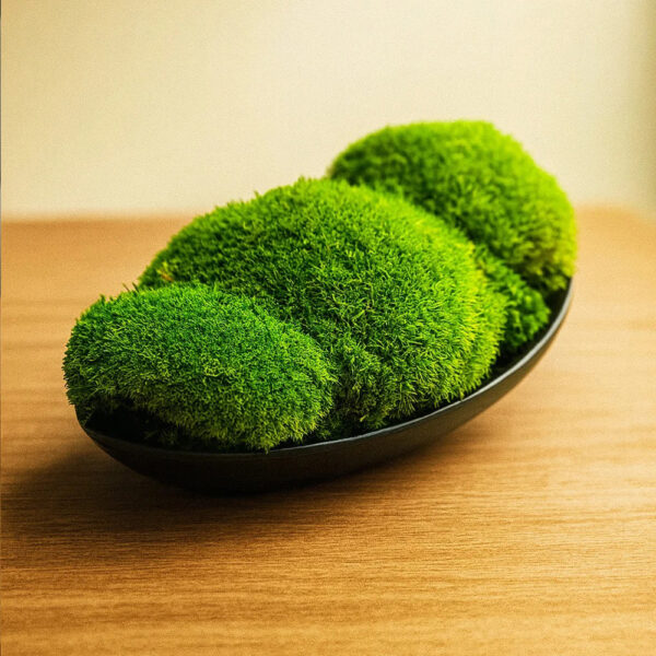 Decor de masă cu trei perne de mușchi verde crud pe un suport ceramic negru oval, pe un blat din lemn