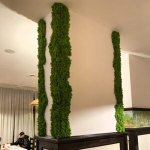 Decor organic din licheni stabilizați pe colțurile pereților unui restaurant cu decor clasic