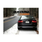 Difuzor bară spate și ornamente evacuare compatibil cu Audi A5 8T Coupe (12-15) — imaginea 6