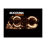 Faruri Angel Eyes compatibile cu VW Bora (98-05) — imaginea 2