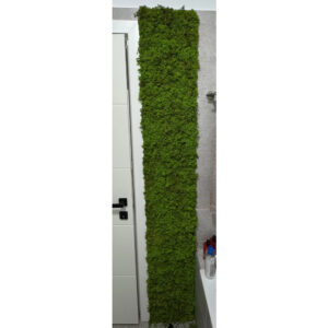 Fâșie îngustă din licheni verde viu montată vertical lângă ușa unei băi cu faianță gri