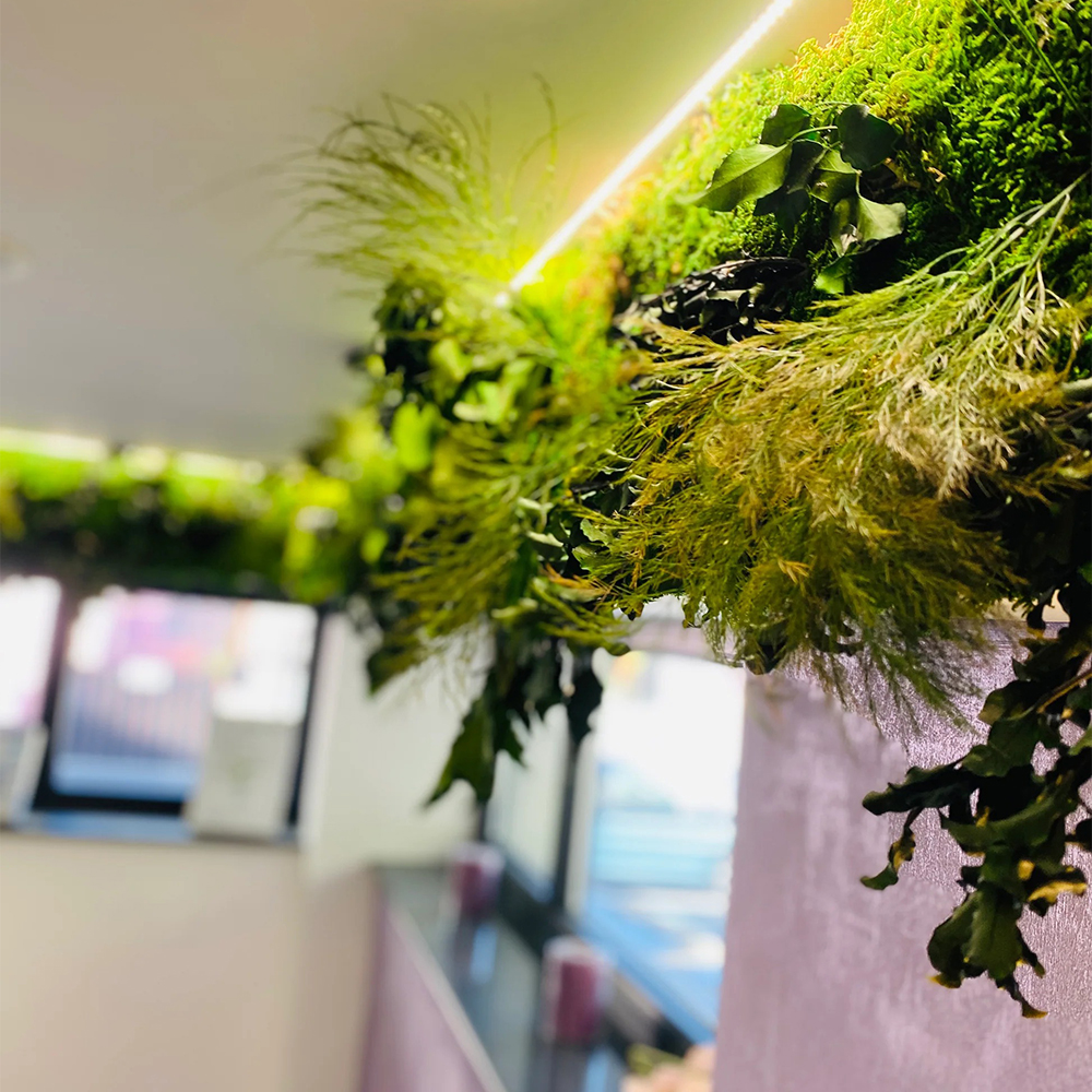 Grindă decorativă cu plante stabilizate, detaliu Detaliu al grinzii decorative cu ferigi, mușchi și plante stabilizate, luminată de LED pe muchie