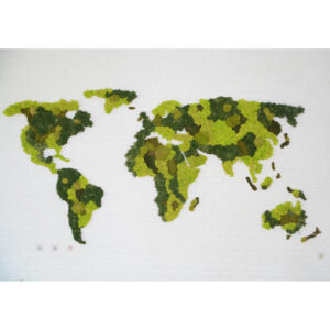 Harta lumii din licheni verde-lime și mușchi verde închis, vedere frontală