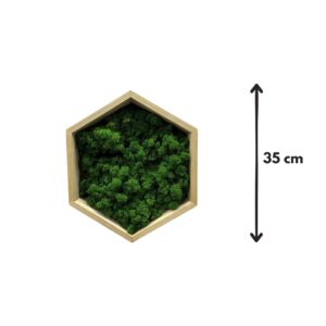 Hexagon cu licheni verde închis în ramă din lemn masiv natur, cu înălțimea de 35 cm marcată