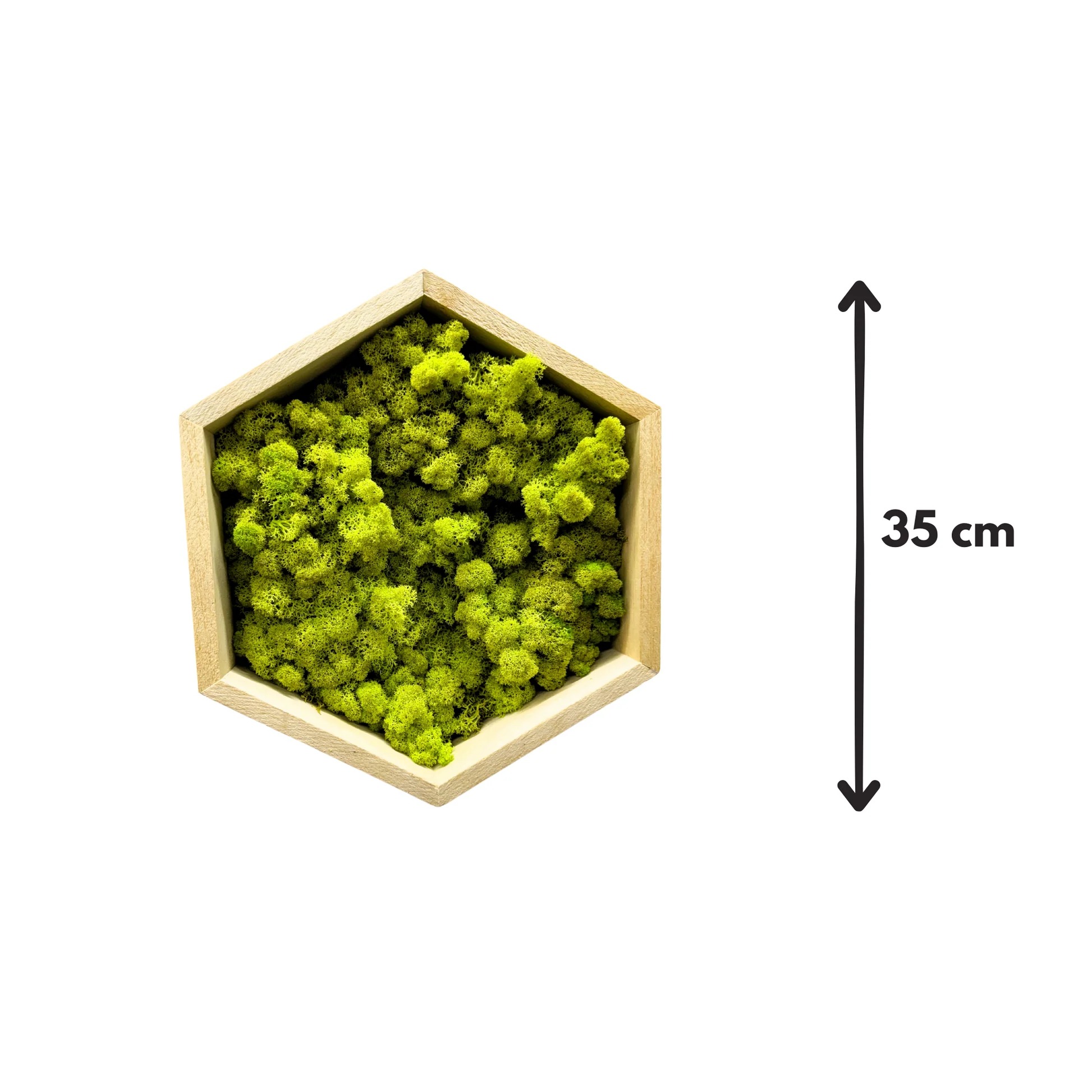 Hexagon cu licheni verde lime, 35 cm Hexagon cu licheni verde lime în ramă din lemn masiv natur, cu înălțimea de 35 cm marcată