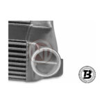 Intercooler sport Wagner compatibil cu BMW Seria 3 335I N55 (11-19) EVO 3 — imaginea 5