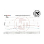 Intercooler sport Wagner compatibil cu BMW X5/X6 (06-18) Competition — imaginea 5