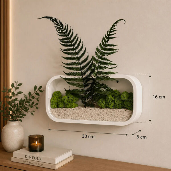 Jardinieră albă cu ferigă și licheni, cu cotele 30 cm, 16 cm și 6 cm marcate pe imagine