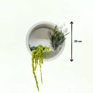 Jardiniera rotundă albă cu plante stabilizate și nisip, cu diametrul de 25 cm marcat printr-o săgeată