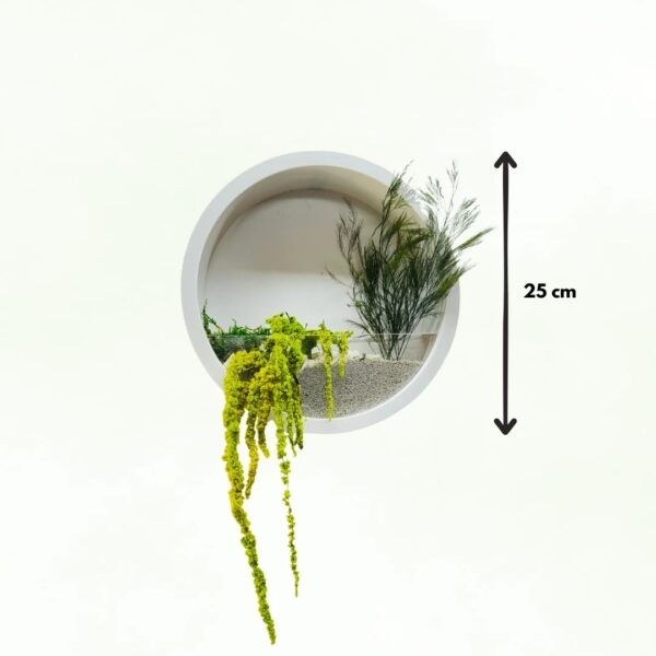 Jardiniera rotundă albă cu plante stabilizate și nisip, cu diametrul de 25 cm marcat printr-o săgeată
