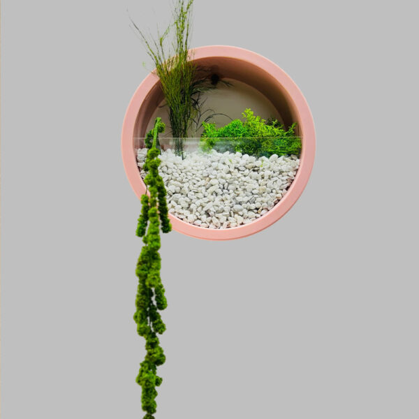 Jardiniera rotundă roz pe fundal gri, cu pietriș alb, mușchi verde și ciucuri lungi care atârnă sub cerc