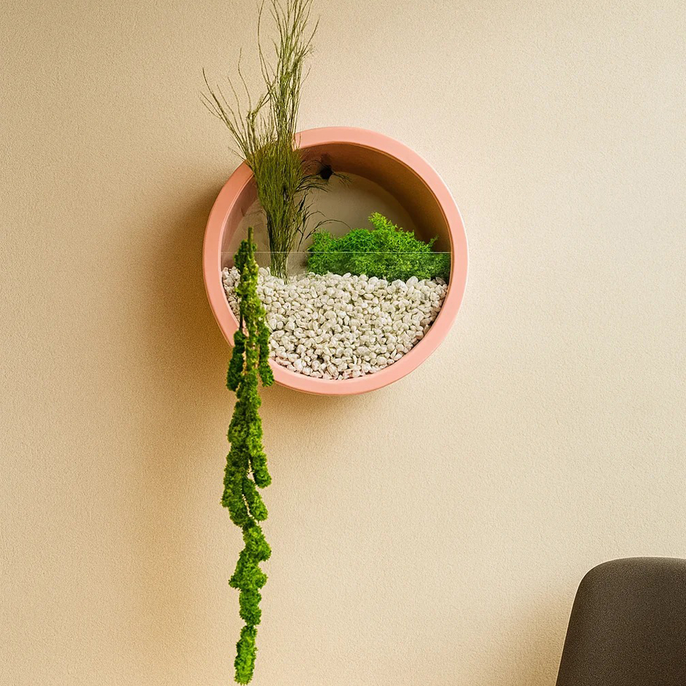 Jardiniera roz cu ciucuri verzi pe perete Jardinieră rotundă cu ramă roz pe perete crem, cu iarbă stabilizată, mușchi verde, pietriș alb și ciucuri care atârnă