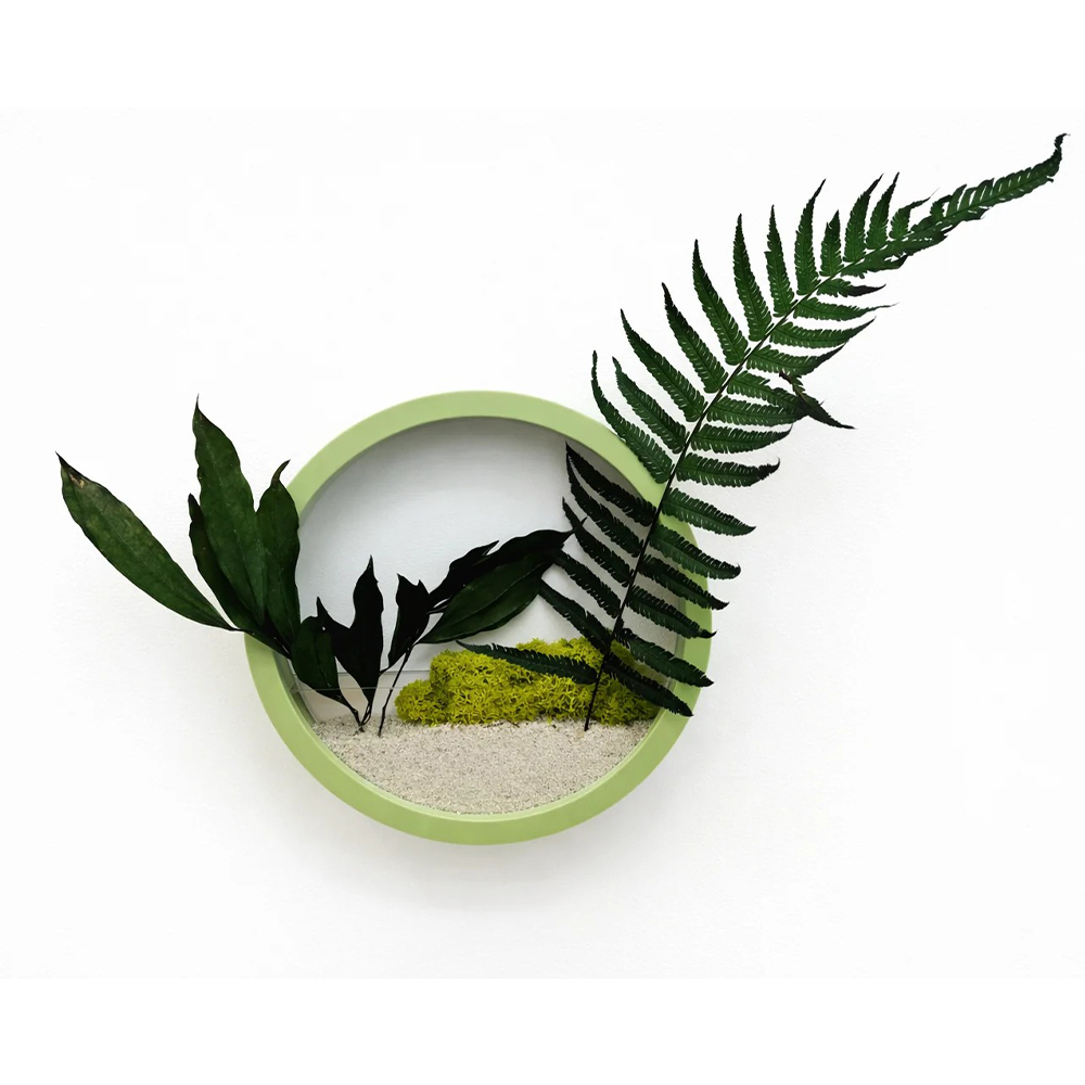 Jardiniera verde mint cu ferigă Jardinieră rotundă cu ramă verde mint, ferigă și frunze stabilizate, licheni verzi și pietriș alb, pe fundal alb