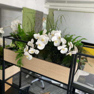 Jardinieră cu aspect de lemn deschis în raft metalic negru, cu orhidee albe, ferigi și ierburi artificiale, într-un birou