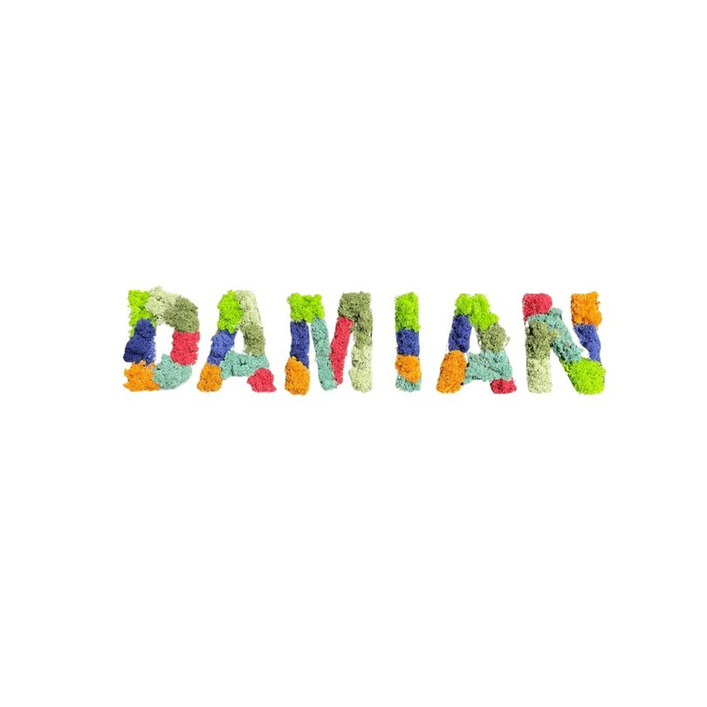 Litere volumetrice din licheni, numele DAMIAN Litere volumetrice din licheni colorați care formează numele DAMIAN, pe fundal alb