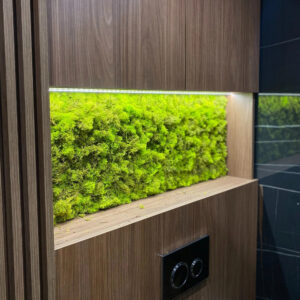 Panou din licheni verde crud într-o nișă iluminată de baie, deasupra clapetei de toaletă