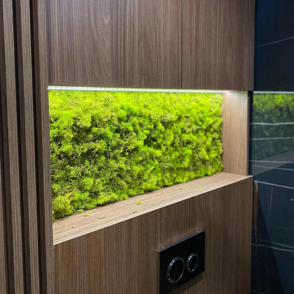 Panou baie din licheni, 100 × 35 cm Panou din licheni verde crud într-o nișă iluminată de baie, deasupra clapetei de toaletă