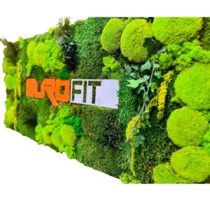 Panou cu logo personalizat văzut din unghi, cu mușchi bombat, iederă, ferigi și ciucuri de plante stabilizate