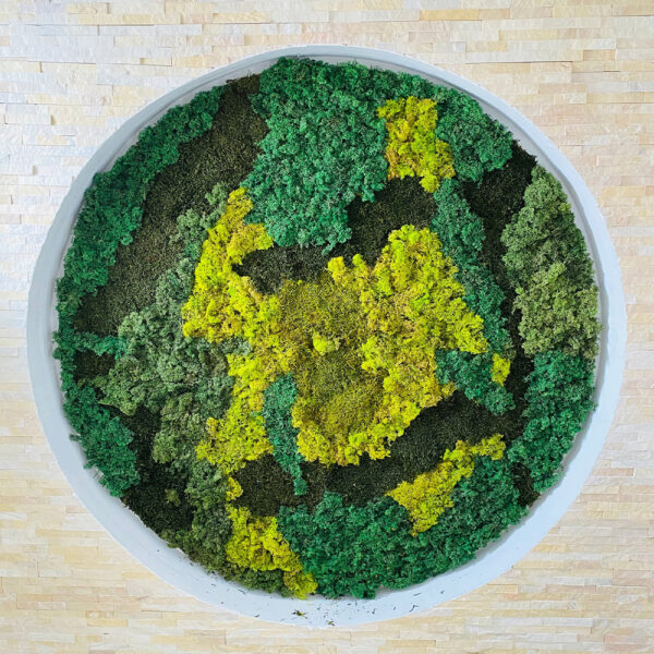 Panou circular din licheni verde închis, smarald și lime, cu ramă albă, pe un perete de piatră naturală