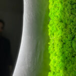 Detaliu: marginea luminată a oglinzii rotunde lângă lichenii verde aprins