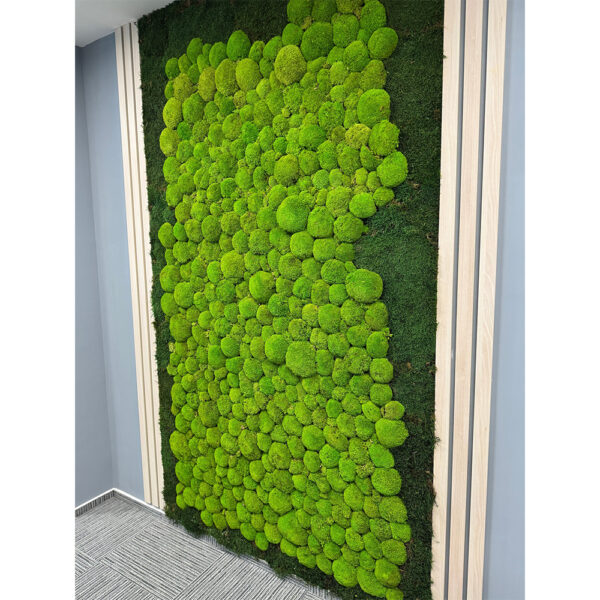 Perete cu pernițe de mușchi bombat verde crud și margine de mușchi plat, între riflaje verticale