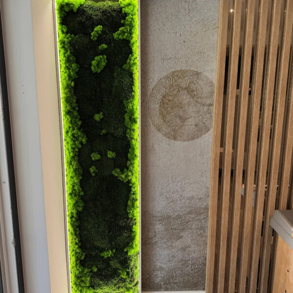 Panou vertical din licheni cu centru verde închis și margini verde-lime luminate LED
