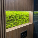 Licheni verde deschis într-o nișă iluminată din mobilier de lemn, deasupra unei clapete de toaletă