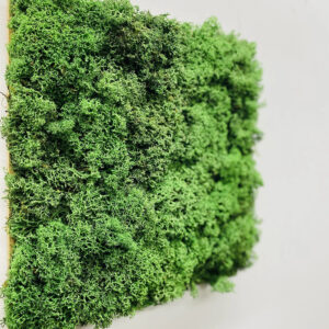 Panou modular din licheni verde închis văzut din lateral, cu textura pufoasă și marginea bazei