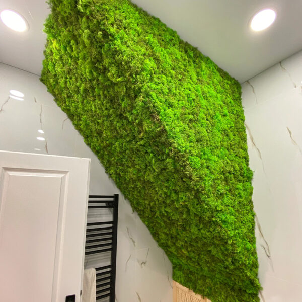 Perete înclinat de sub scară acoperit cu licheni verde viu, deasupra ușii unei băi cu marmură albă