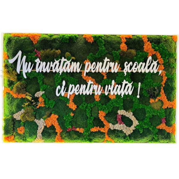 Panou din mușchi verde, licheni portocalii și crem, cu mesajul „Nu învățăm pentru școală, ci pentru viață!” în litere albe