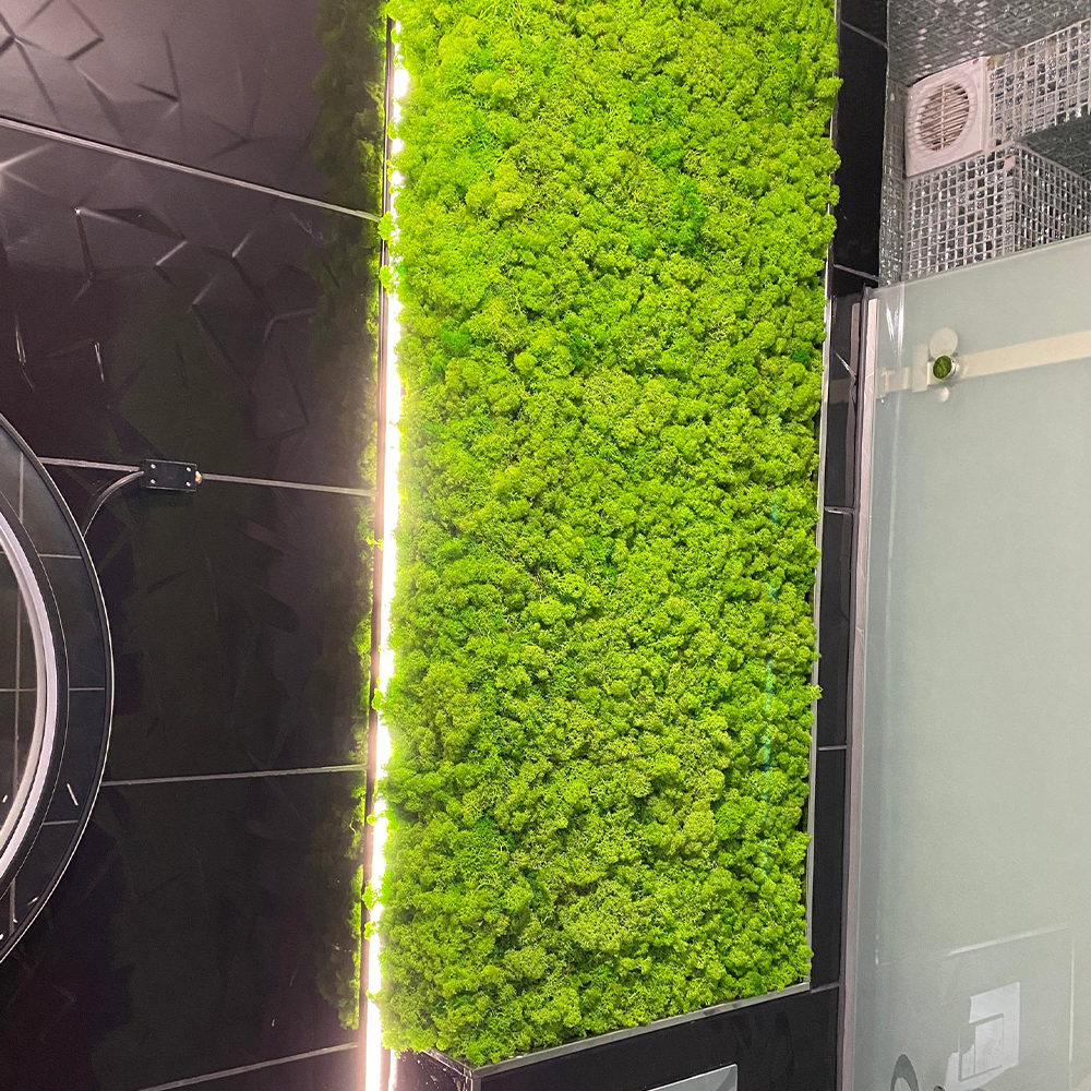 Panou din licheni cu LED pe faianță neagră Panou din licheni verde vibrant cu bandă LED pe margine, pe faianță neagră lucioasă, lângă un duș