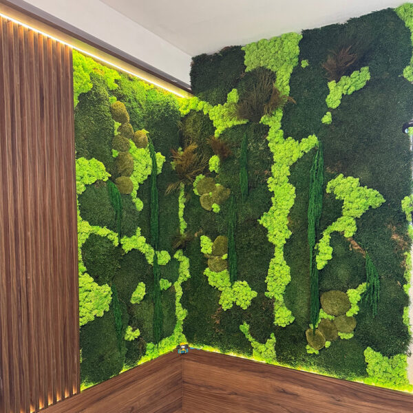 Decor de colț din mușchi și licheni cu bandă LED caldă și placaj din lemn închis la bază