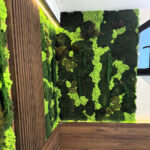 Colț de încăpere acoperit cu mușchi verde închis, licheni verde-lime și plante uscate, lângă riflaje din lemn