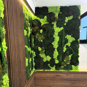 Colț de încăpere acoperit cu mușchi verde închis, licheni verde-lime și plante uscate, lângă riflaje din lemn