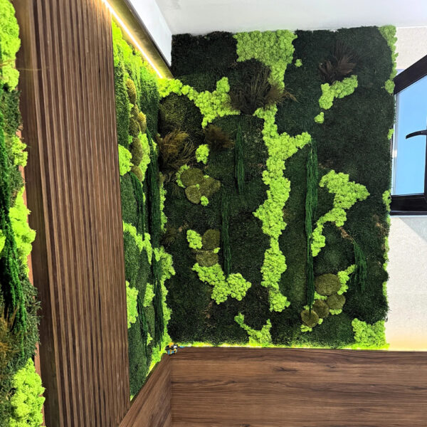 Colț de încăpere acoperit cu mușchi verde închis, licheni verde-lime și plante uscate, lângă riflaje din lemn